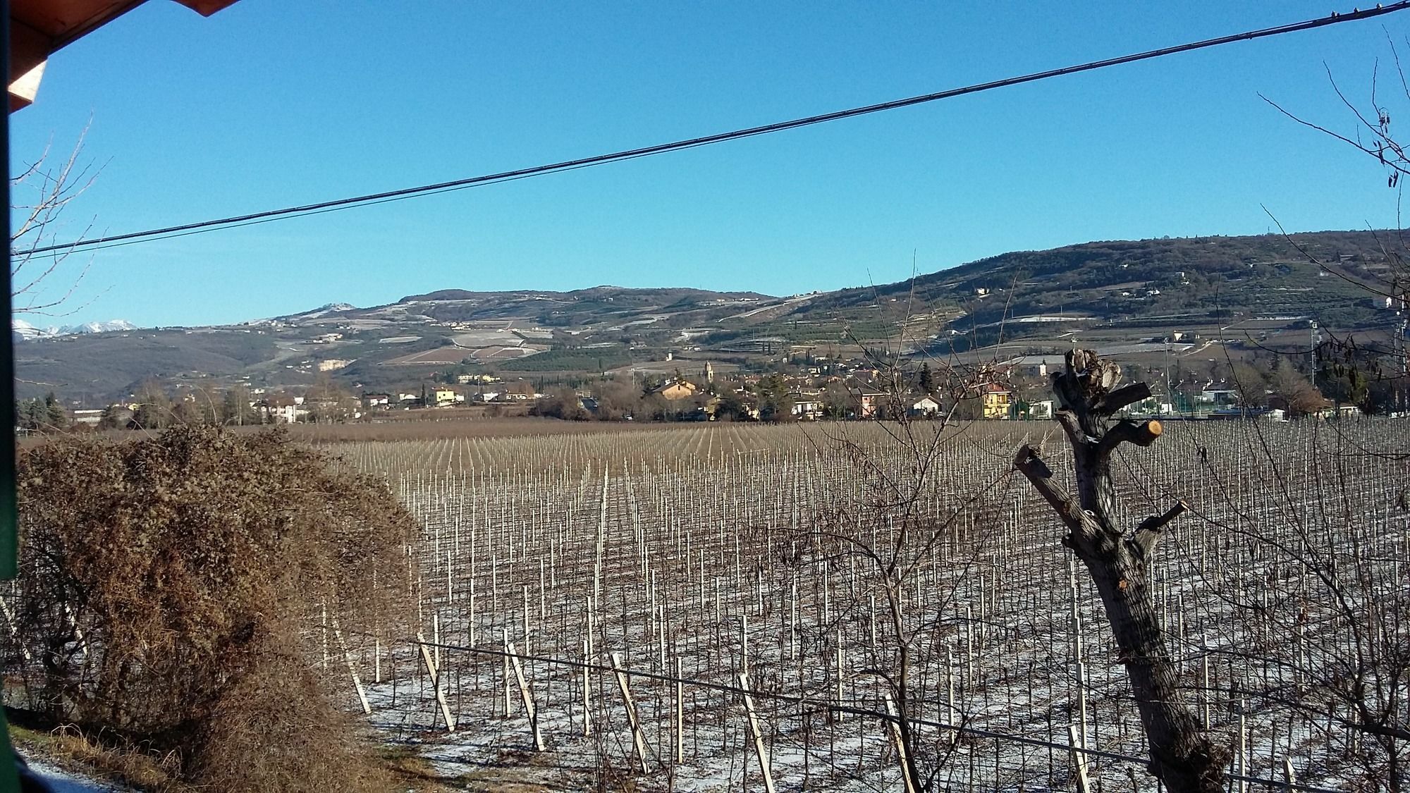 Agriturismo Corte Carolina 베로나 외부 사진